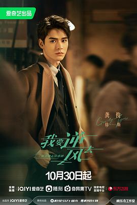 魅惑心境海报剧照